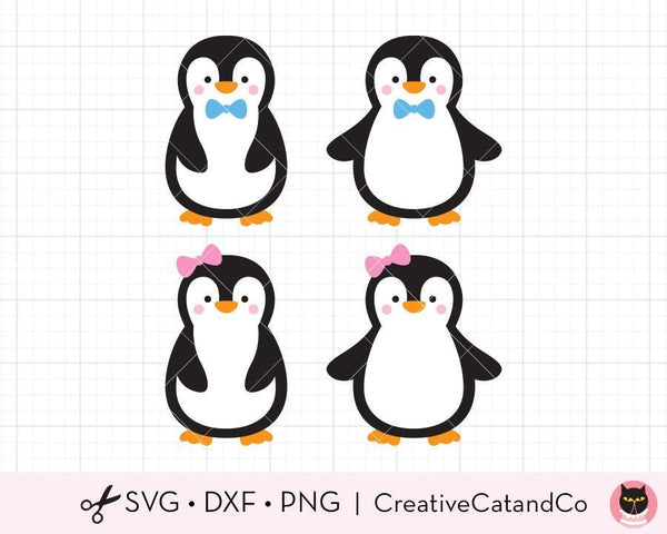 Baby Penguin Monogram Frame SVG Files | CreativeCatandCo